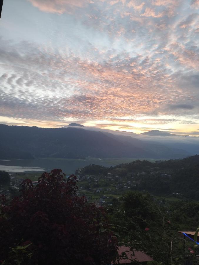 Into The Wild Pokhara