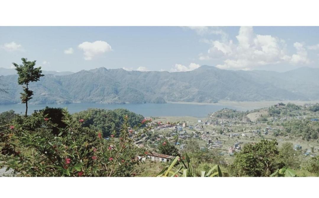 Into The Wild Pokhara