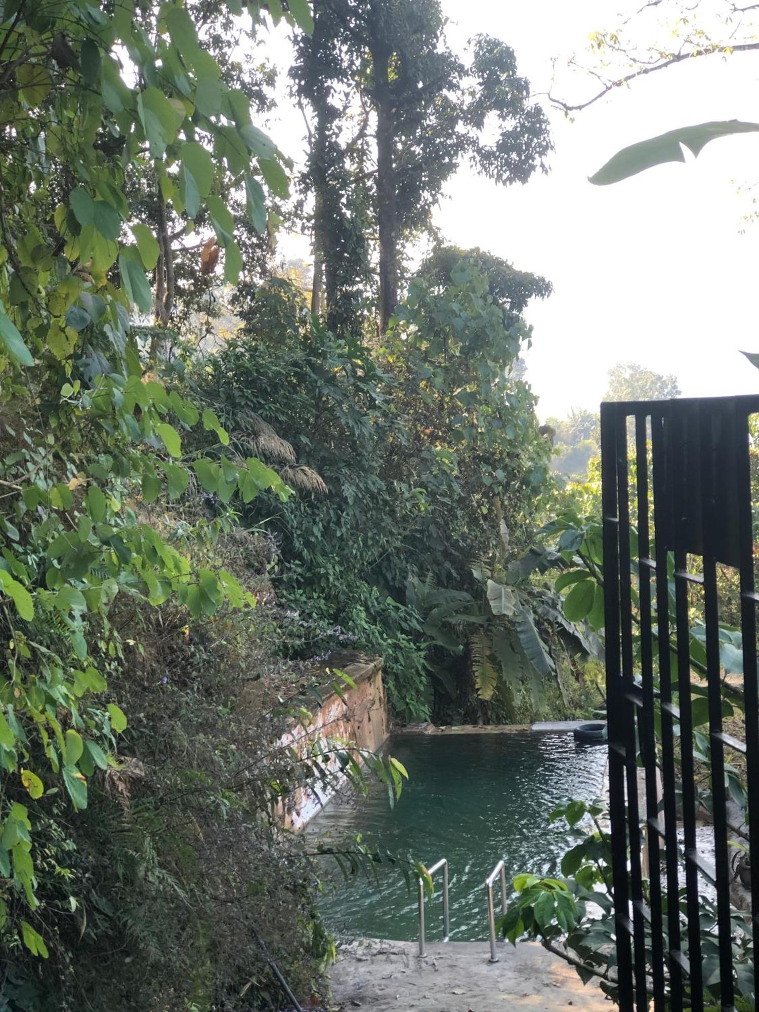 Lodge Into The Wild Pokhara