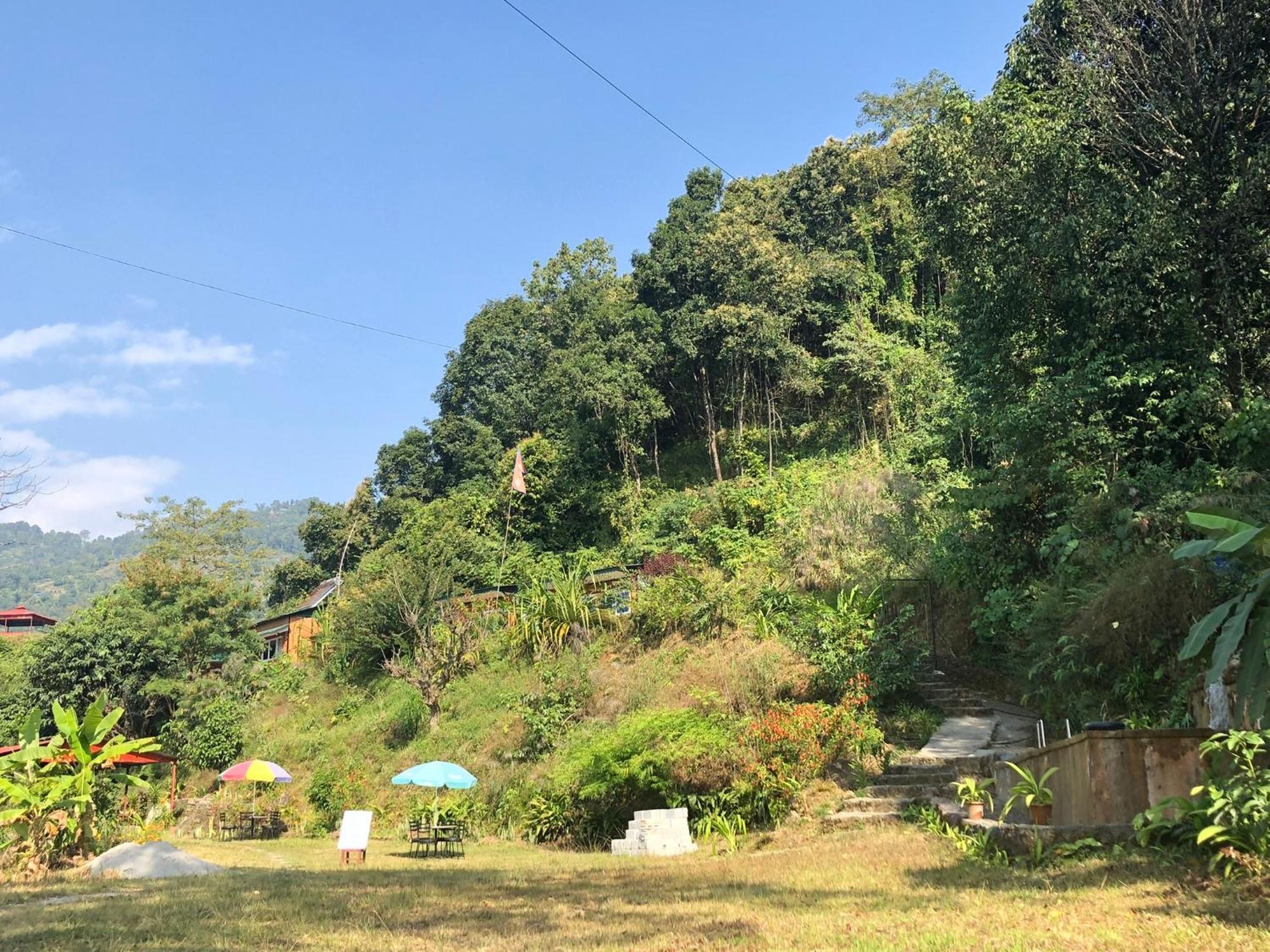 Into The Wild Pokhara Lodge *