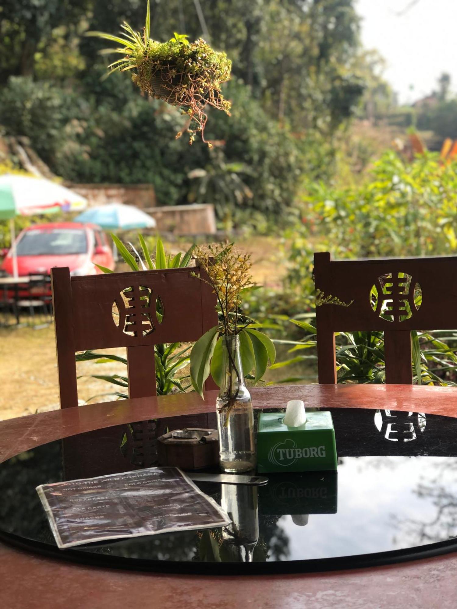 Into The Wild Pokhara