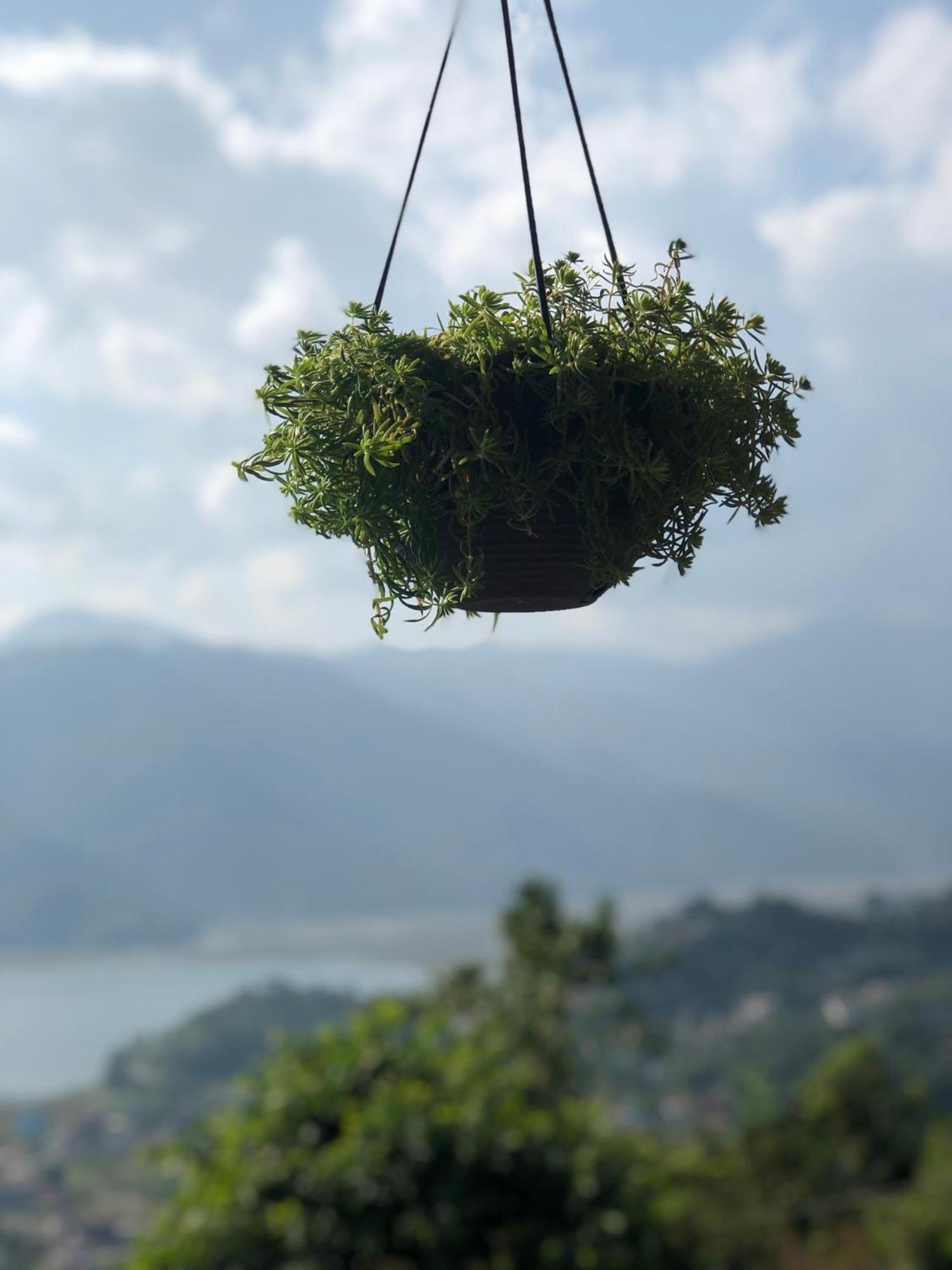 Into The Wild Pokhara * Kaski