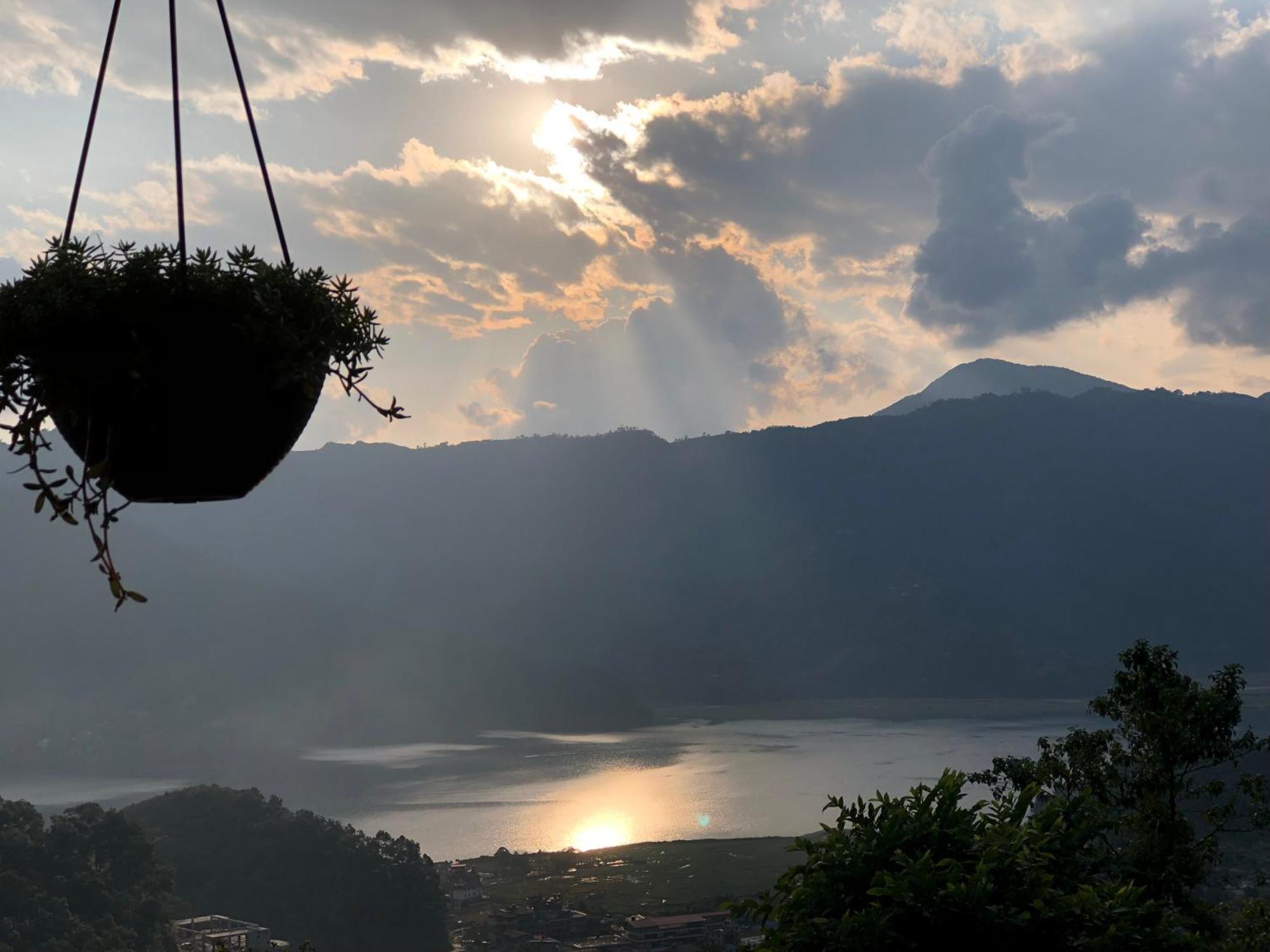 Into The Wild Pokhara