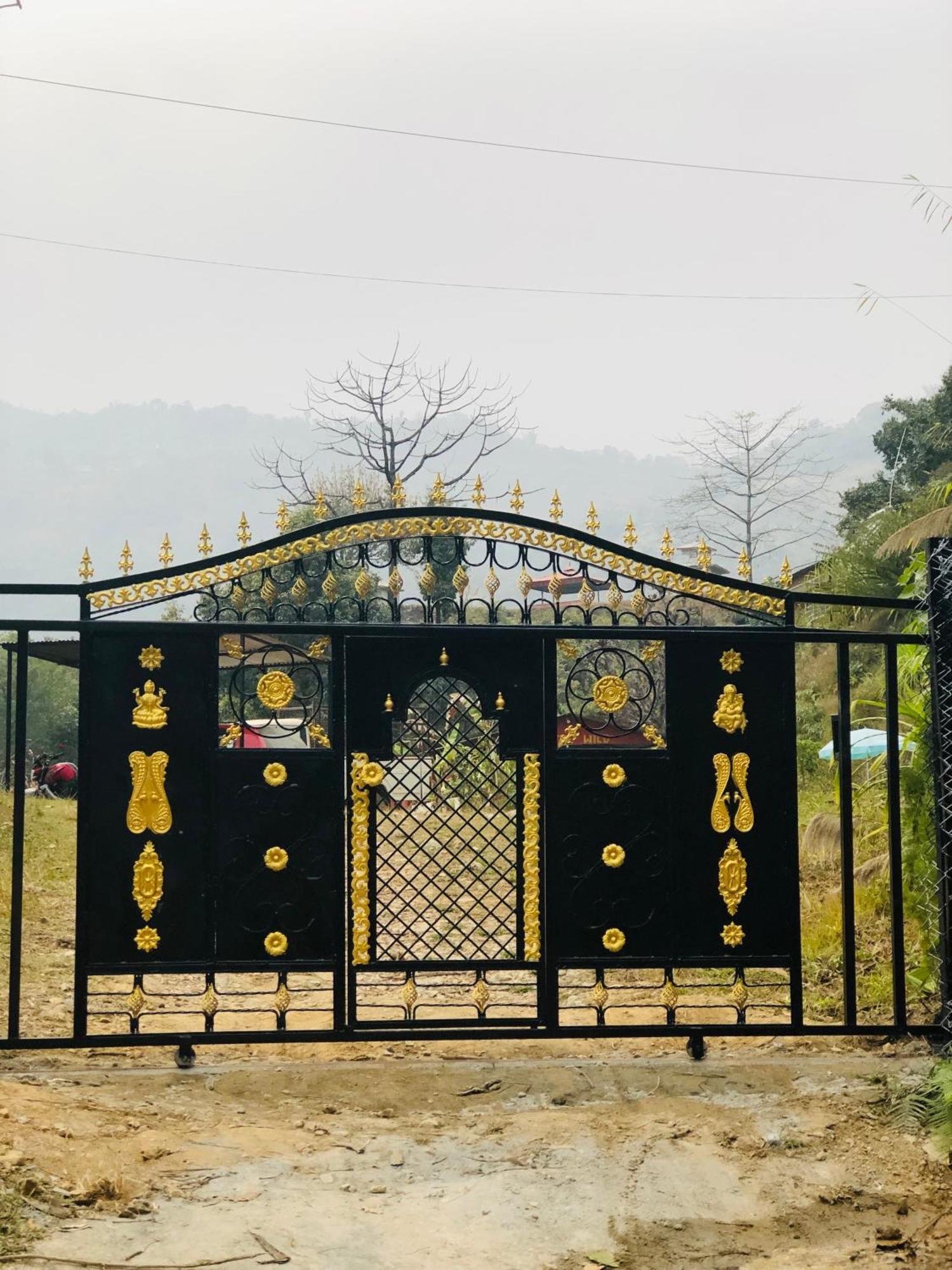 Into The Wild Pokhara *