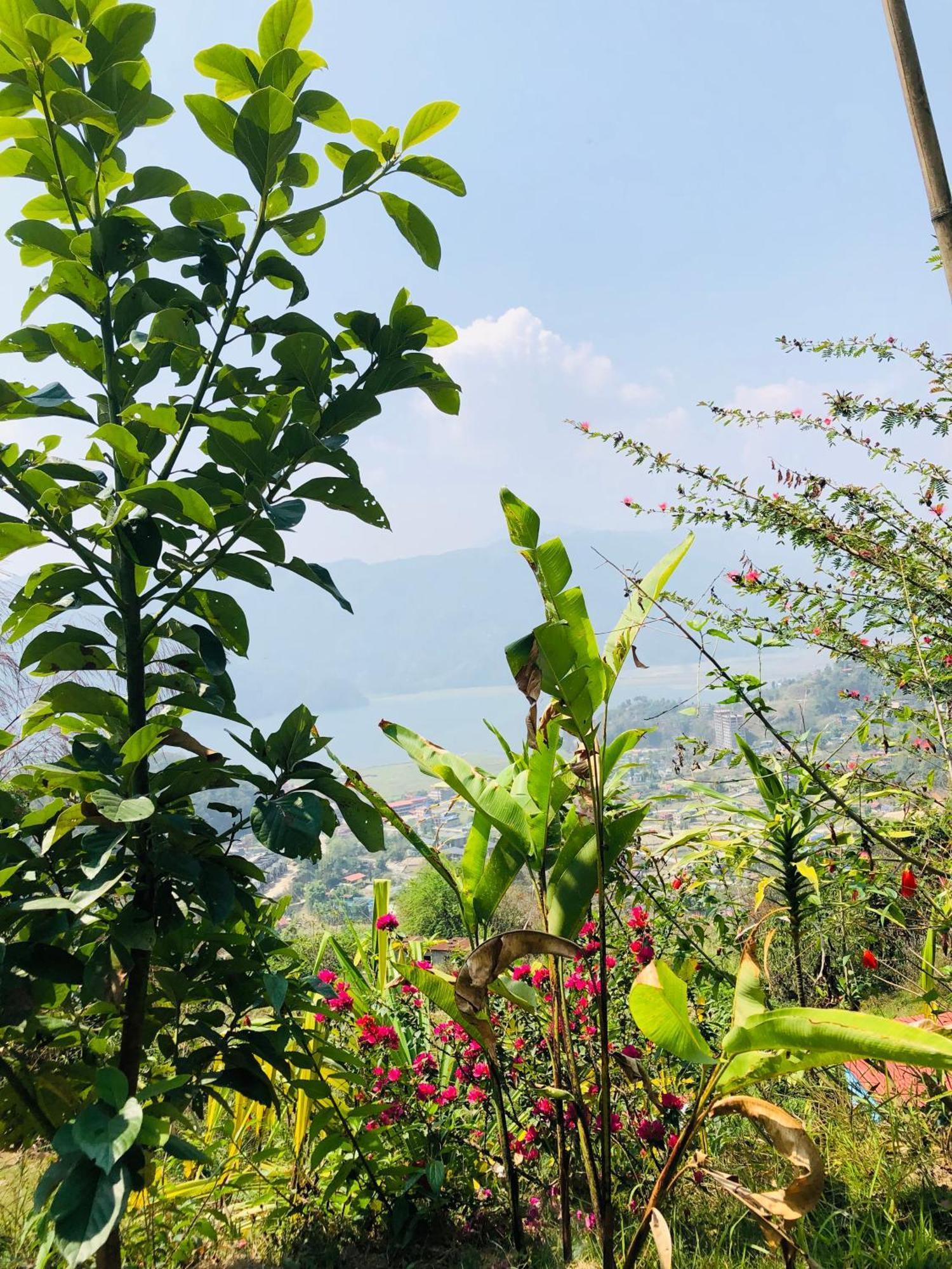 Into The Wild Pokhara * Kaski